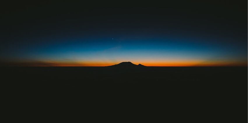 Step Into The Dying Light