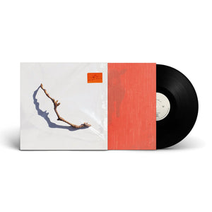 PJ Harvey - 'I Inside the Old Year Dying' (2023) Vinyl