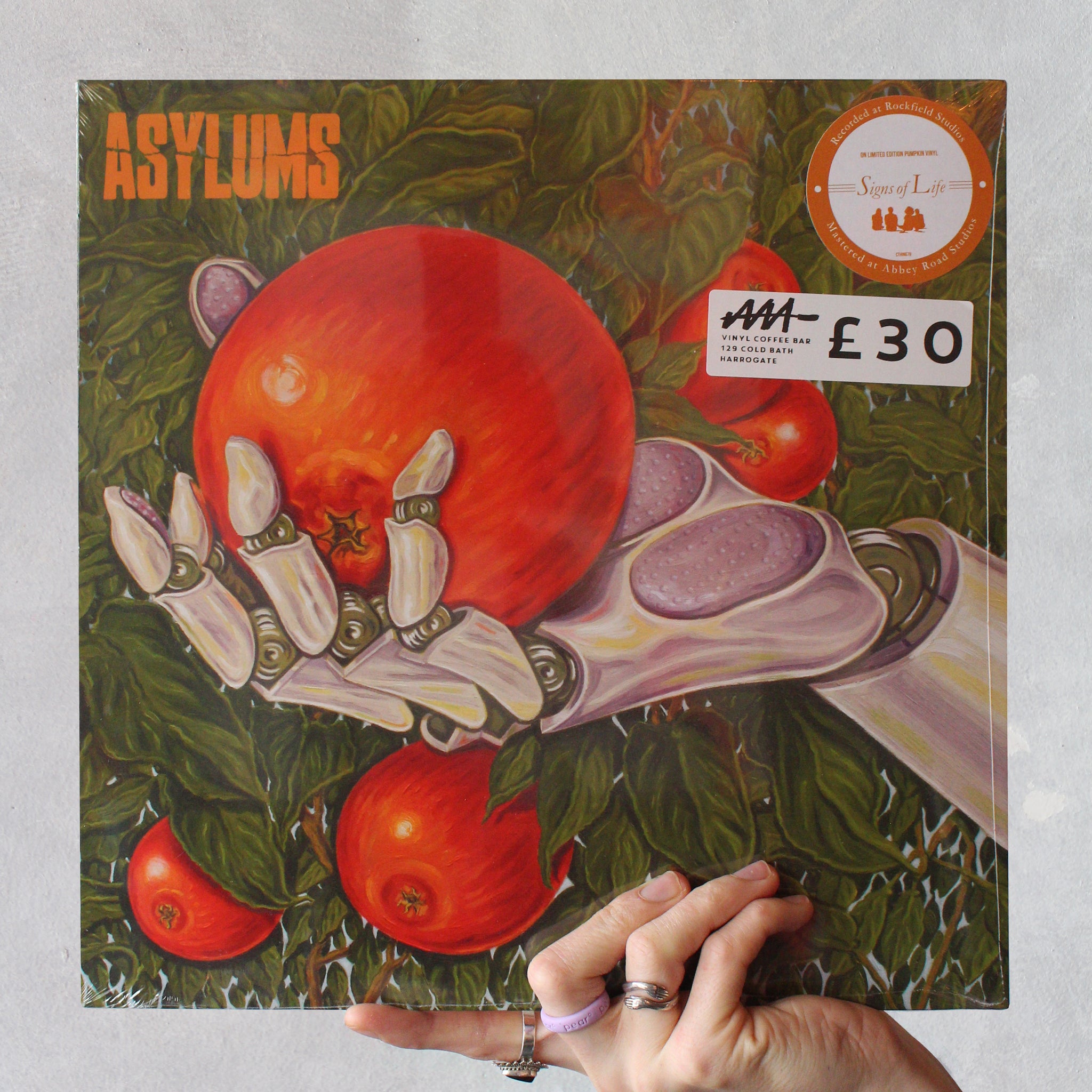 Asylums - 'Signs of Life' (2022) Exclusive Pumpkin Orange Vinyl - Audio Architect Apparel